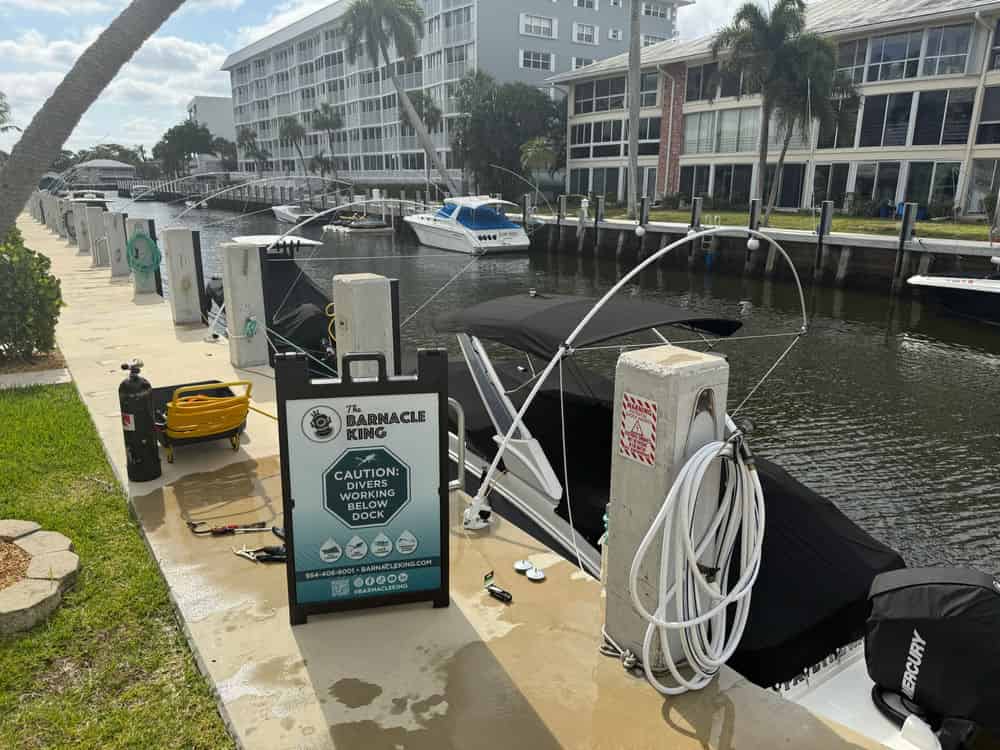 Sea Wall Cleaning image