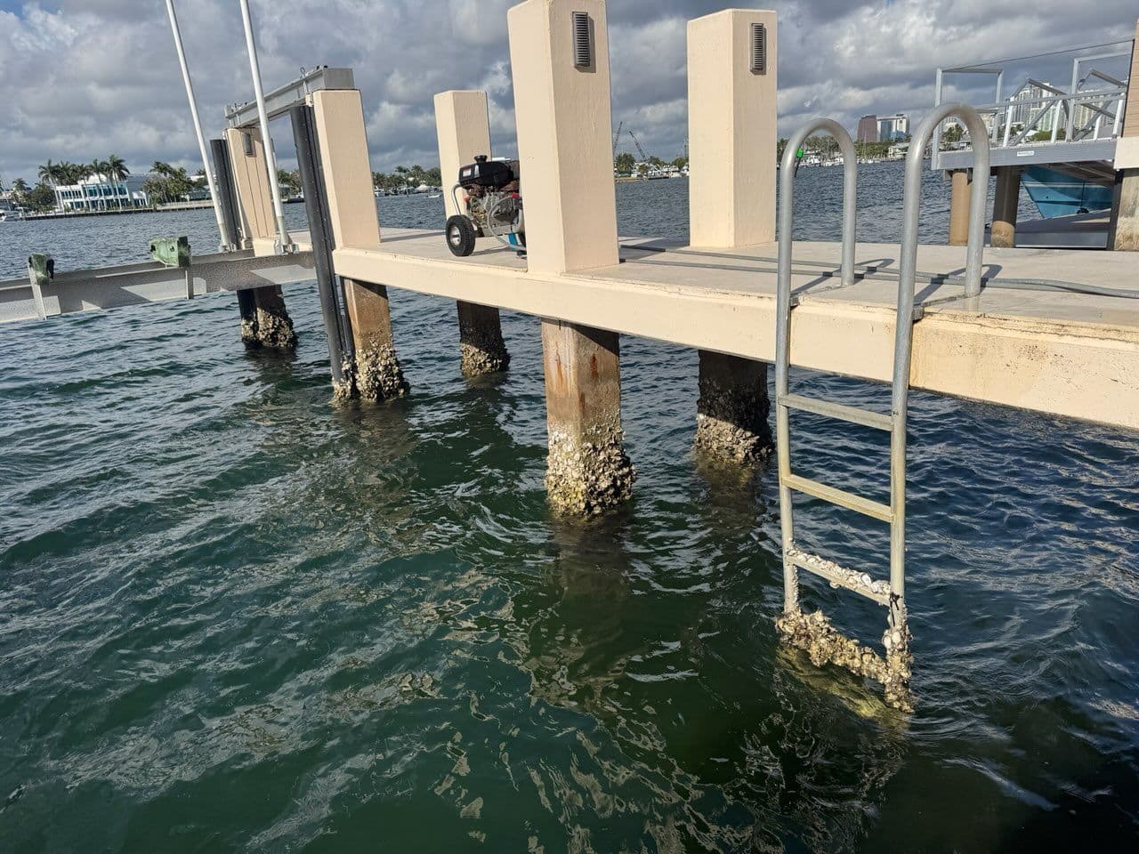 Transforming Dock Pilings in Coastal Florida image