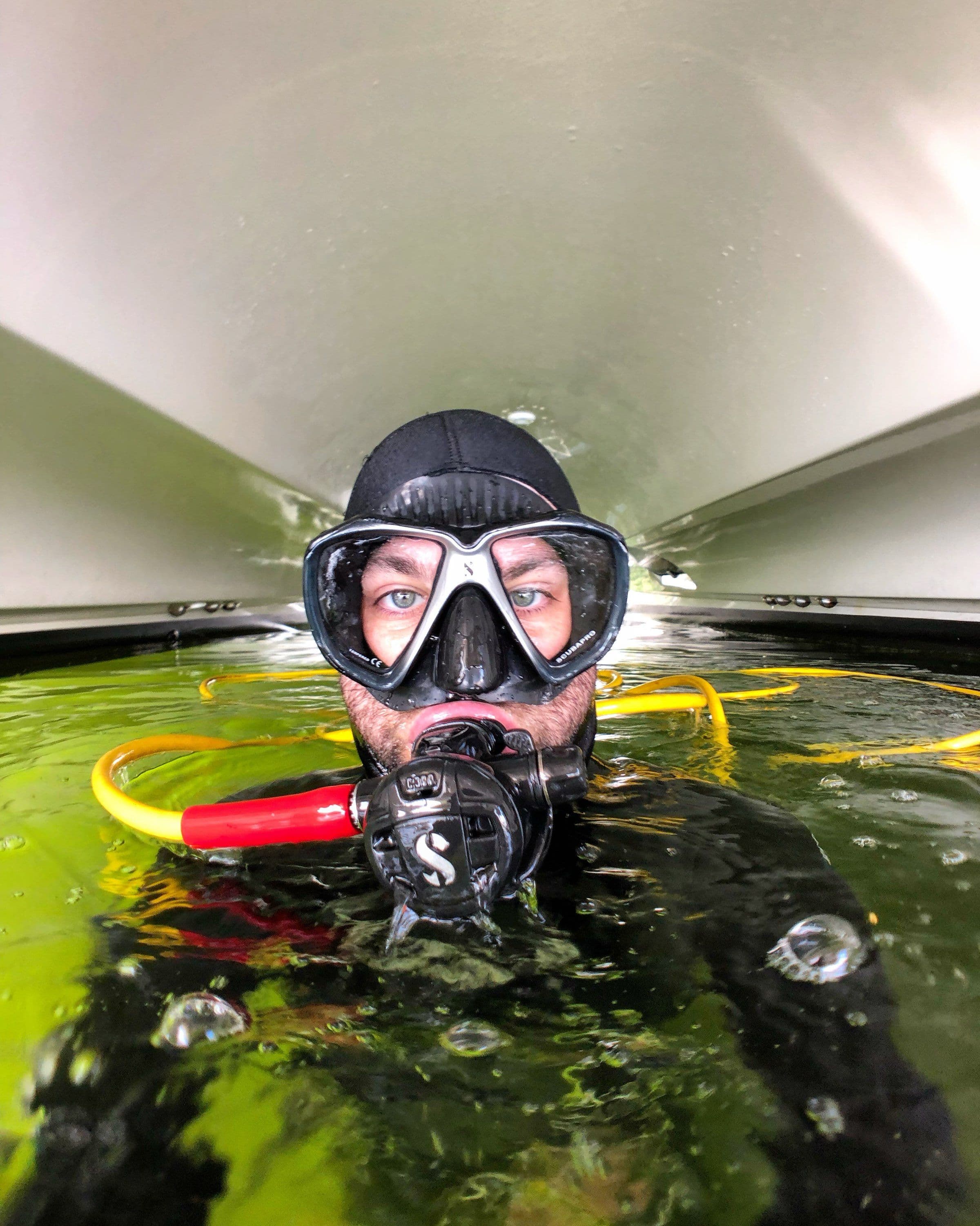 Project Celebrating Our Founder and Our Diving Journey image