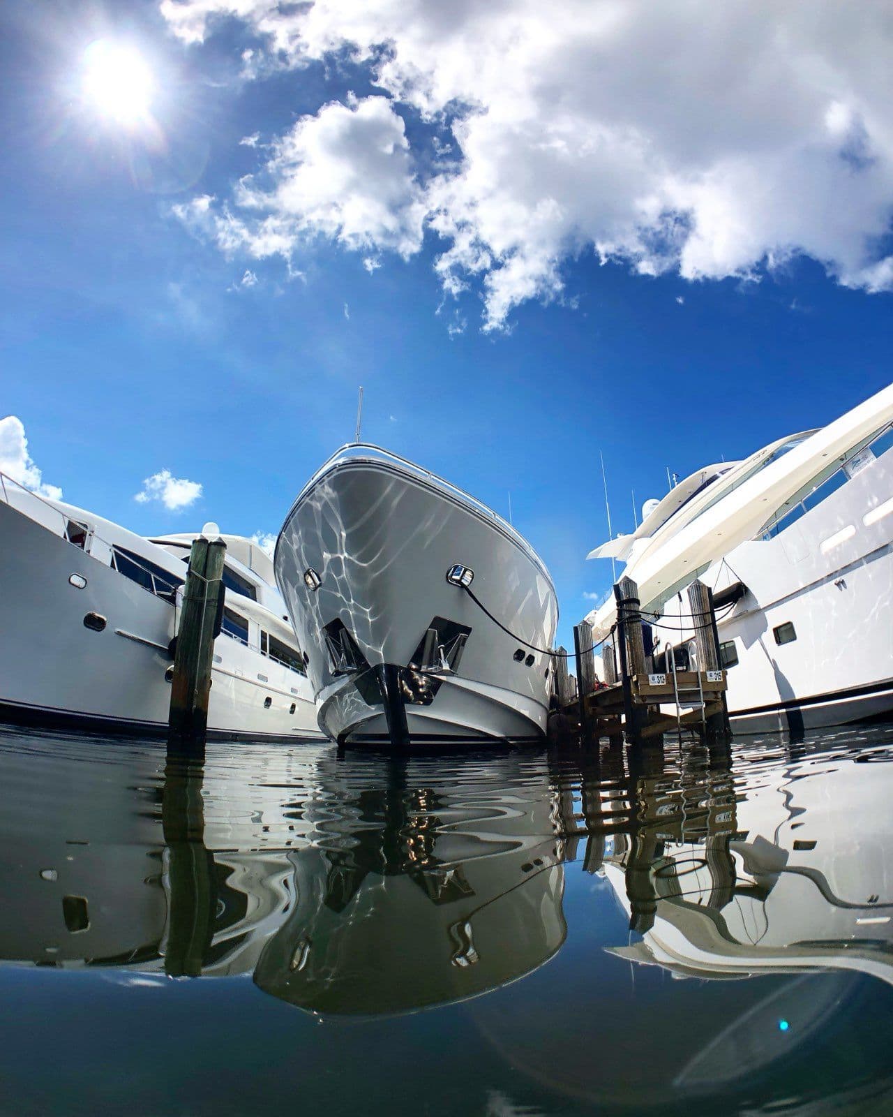 Gallery photos for Expert Yacht Hull Cleaning in Fort Lauderdale: Image #1