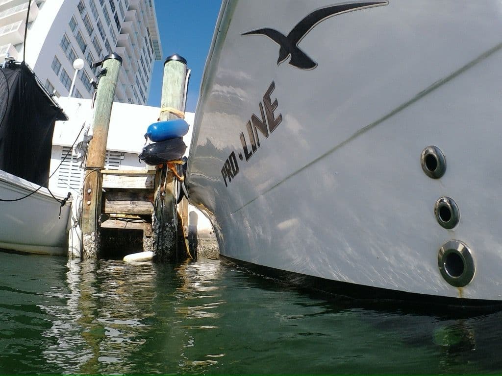 Project Barnacle King's Hull Cleaning Expertise in Fort Lauderdale image